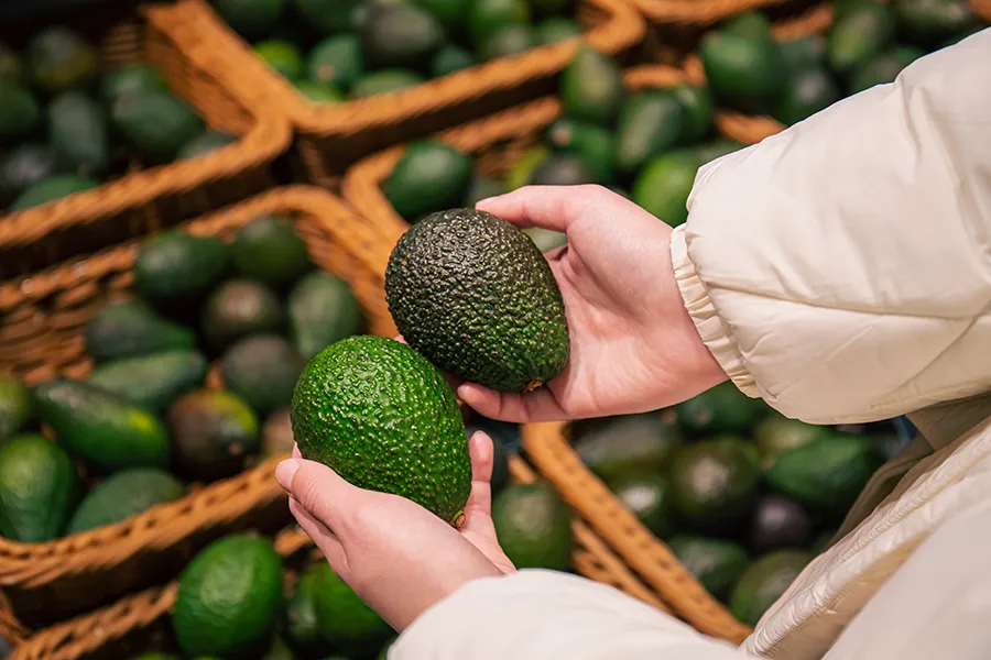 importacion de aguacates PINFAR